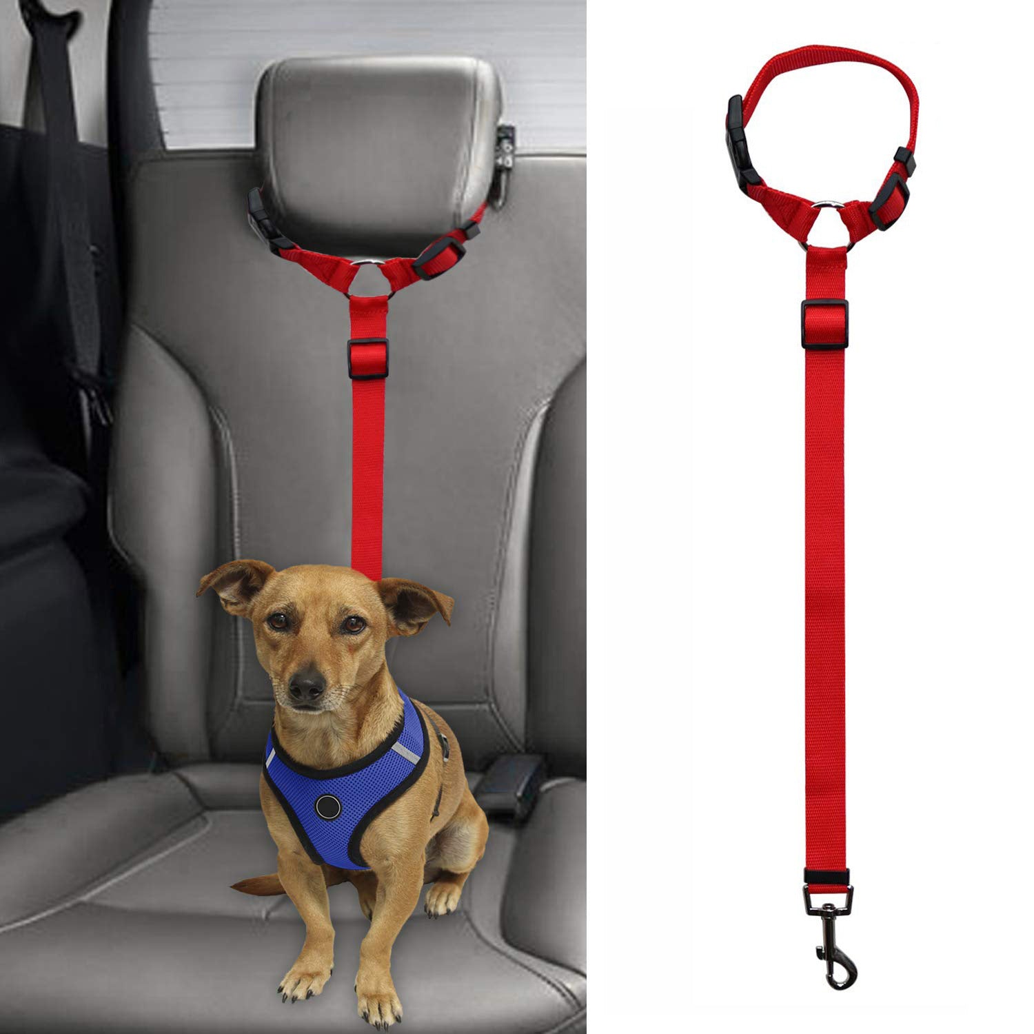 Pet Leash
