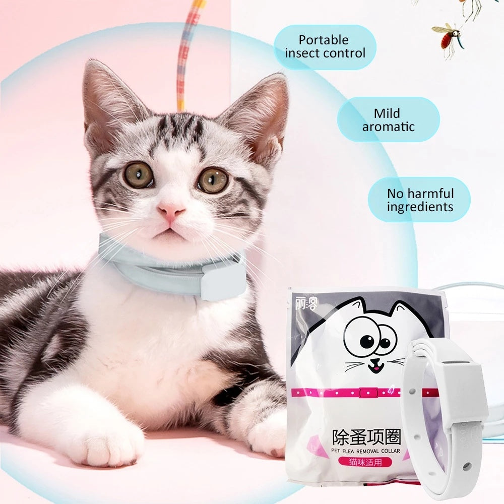 Pet Collars