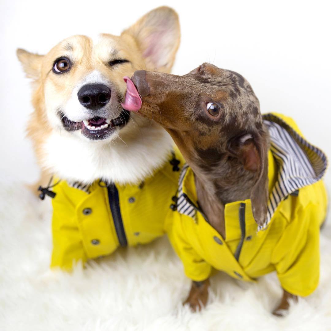 Rain Coats