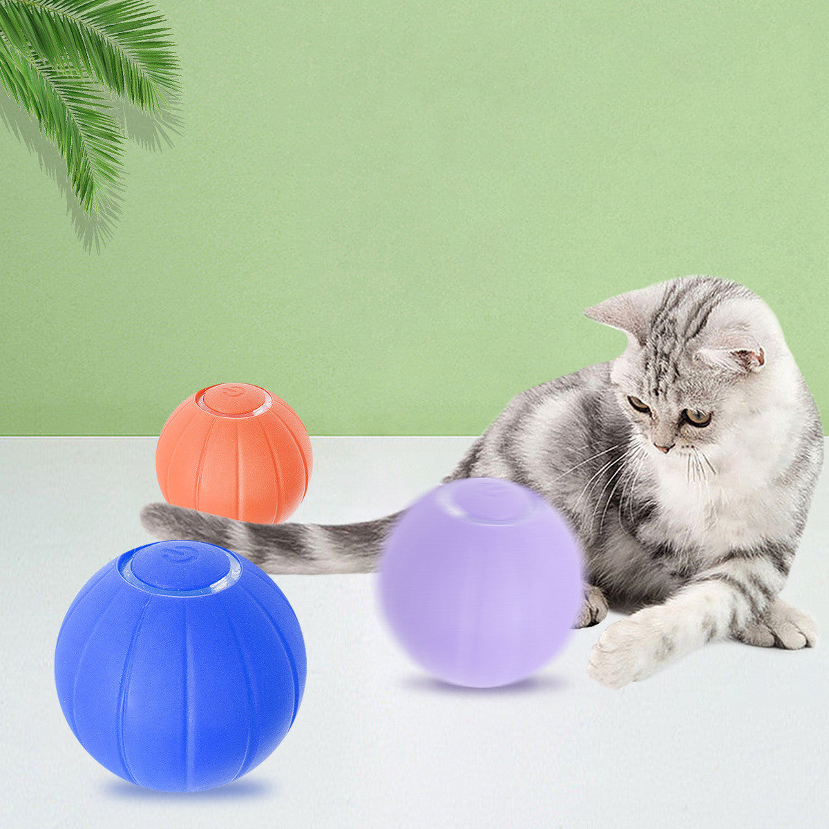 Pet Toys