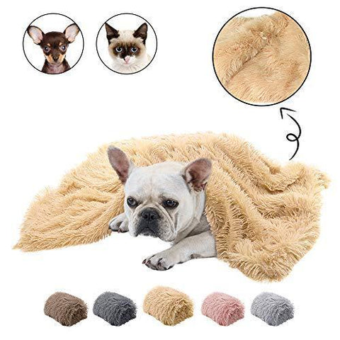 Plush Double Pet Blanket