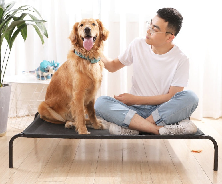 Removable washable pet bed