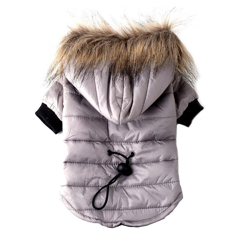 Autumn & Winter Pet Sweater