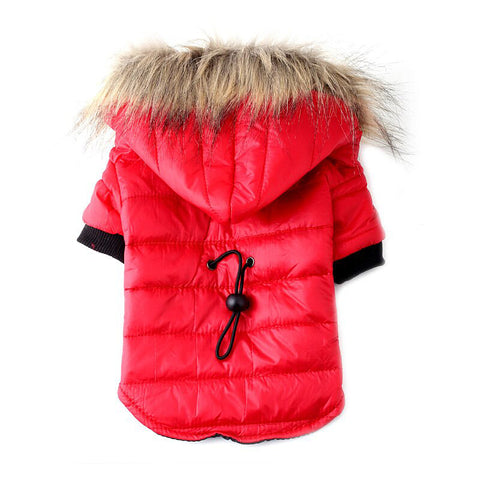 Autumn & Winter Pet Sweater