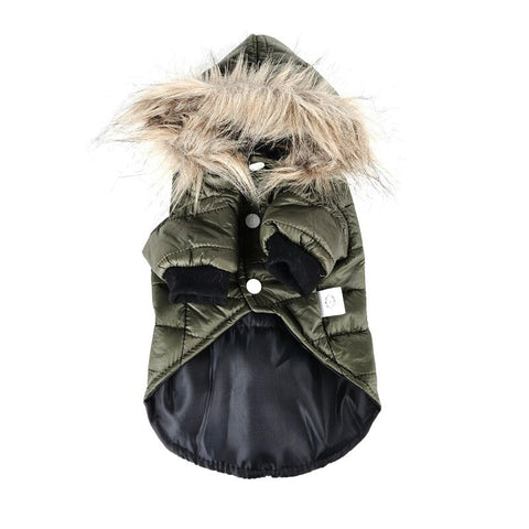 Autumn & Winter Pet Sweater