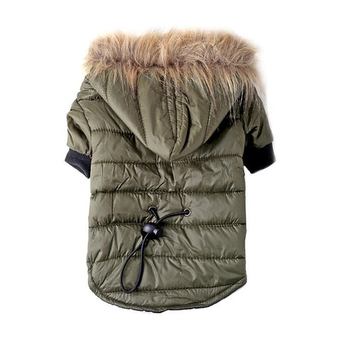 Autumn & Winter Pet Sweater