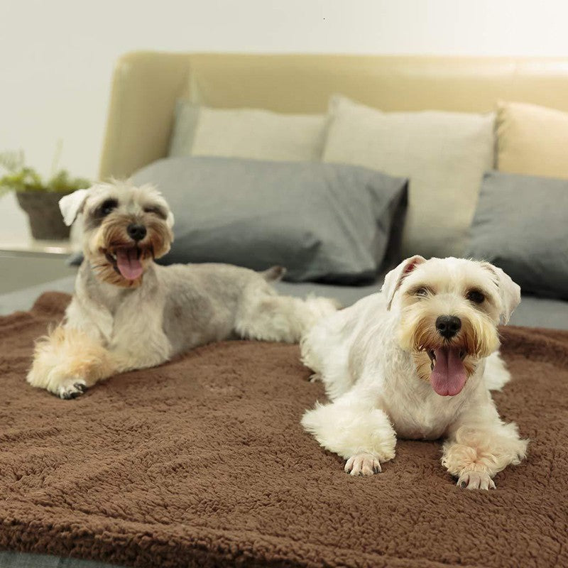 Plush Pet Mat Blanket