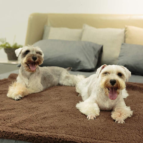 Plush Pet Mat Blanket
