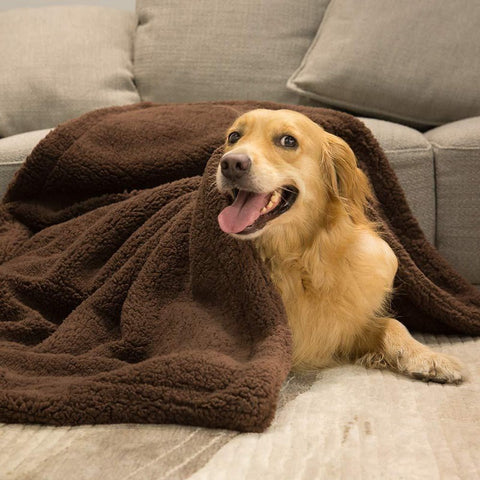 Plush Pet Mat Blanket