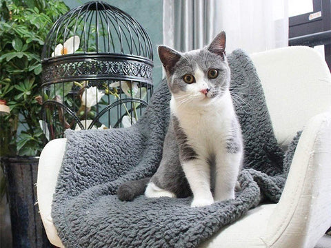 Plush Pet Mat Blanket