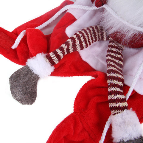 Christmas Riding Costume for Pets