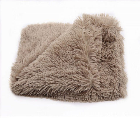 Double Plush Cat Blanket