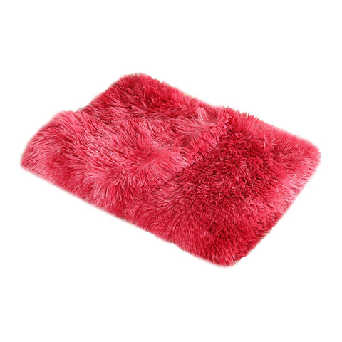 Double Plush Cat Blanket
