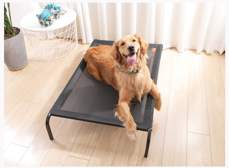 Removable washable pet bed
