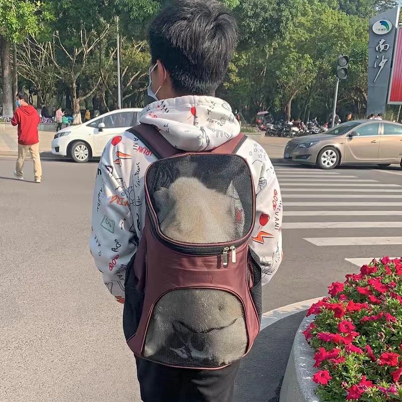 Breathable Dog Carrier Backpack