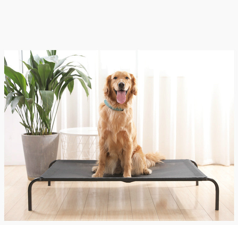 Removable washable pet bed