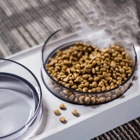 Hexagonal Inclined Pet Bowl