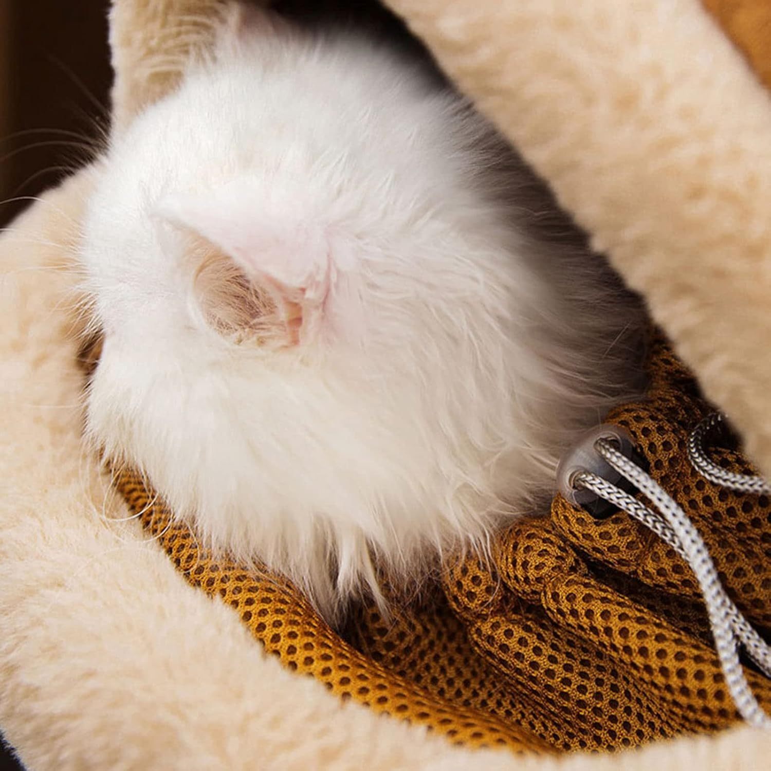 Winter Pet Carrier Backpack