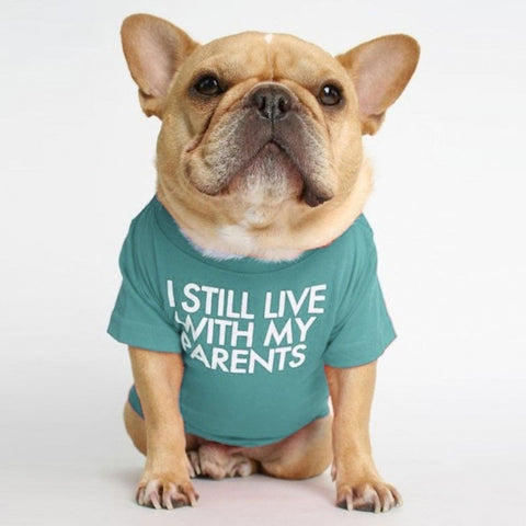 Fadou Turtleneck Round Neck T-shirt Pet Clothes