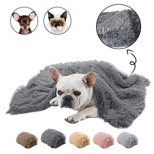 Plush Double Pet Blanket