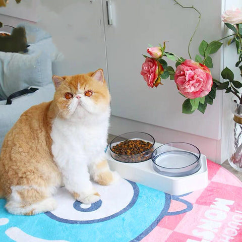 Hexagonal Inclined Pet Bowl