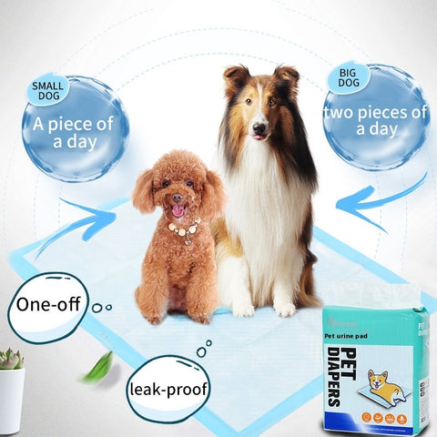 Absorbent Dog PadS