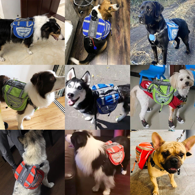 Outdoor Pet Backpack
