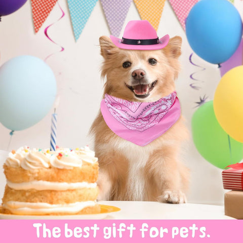 Cat Cowboy Costume Cat Cowboy Hat And Bandana Set Cat Halloween Costumes Cowboy Cat Pet Costume Funny Halloween Costumes For Cats Kittens Pets