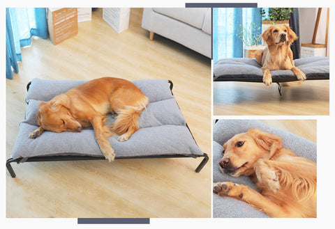 Removable washable pet bed