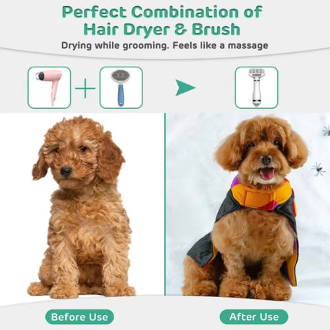 2-in-1 Pet Hair Dryer with Slicker Brush