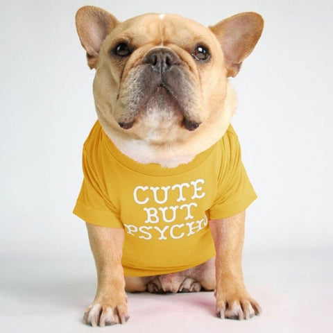Fadou Turtleneck Round Neck T-shirt Pet Clothes