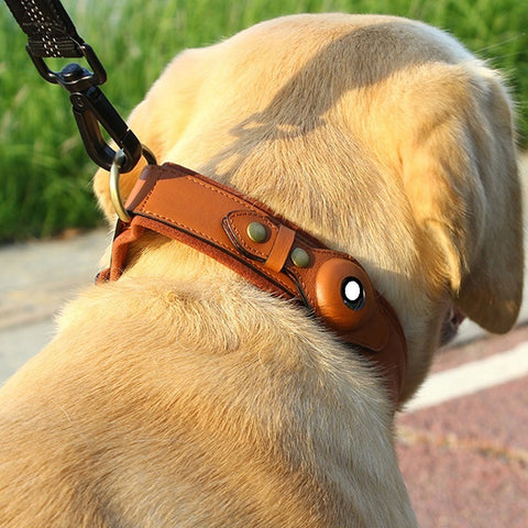 Leather GPS Dog Collar