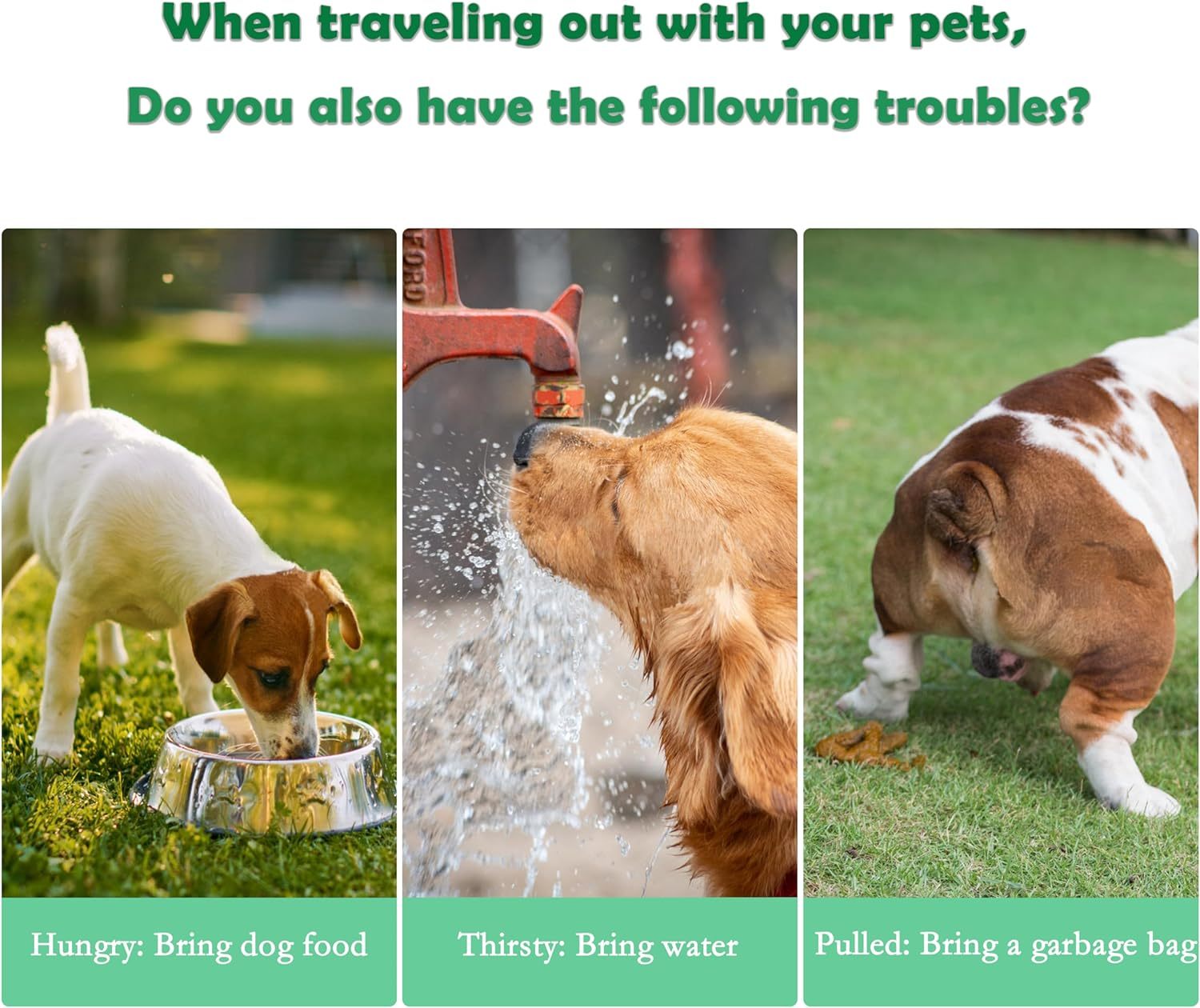 3-in-1 Pet Water Bottle