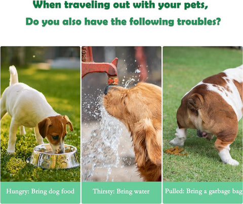 3-in-1 Pet Water Bottle