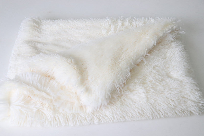 Plush Double Pet Blanket