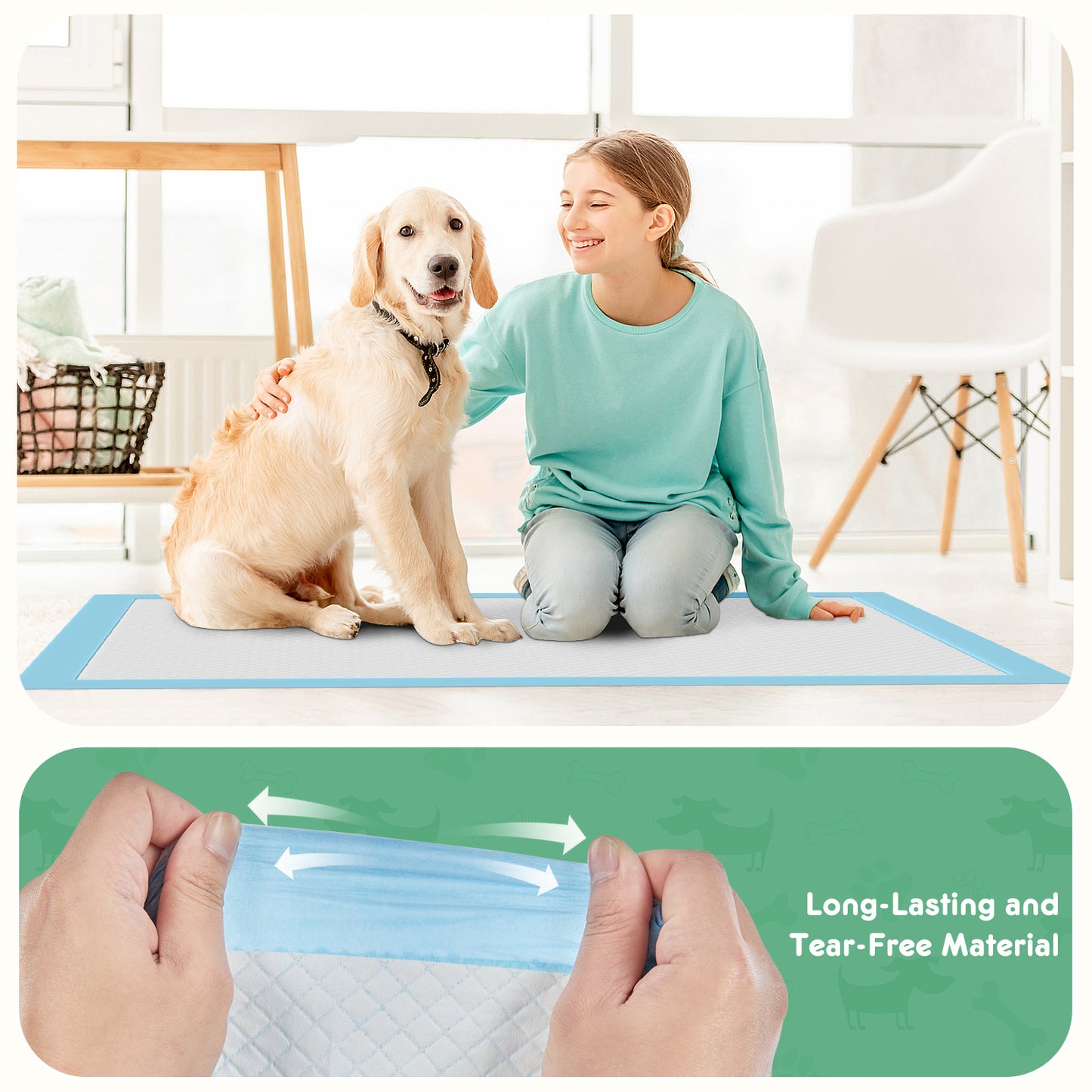 Absorbent Dog Pee Pads