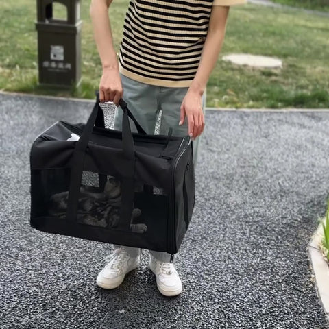 Foldable Pet Travel Carrier
