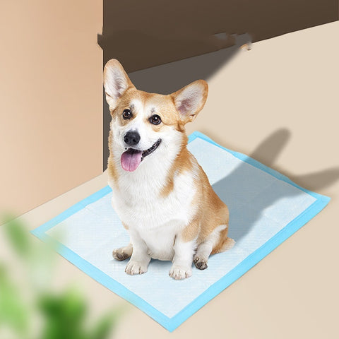 Absorbent Dog PadS