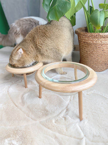 Pet Feeding Bowl