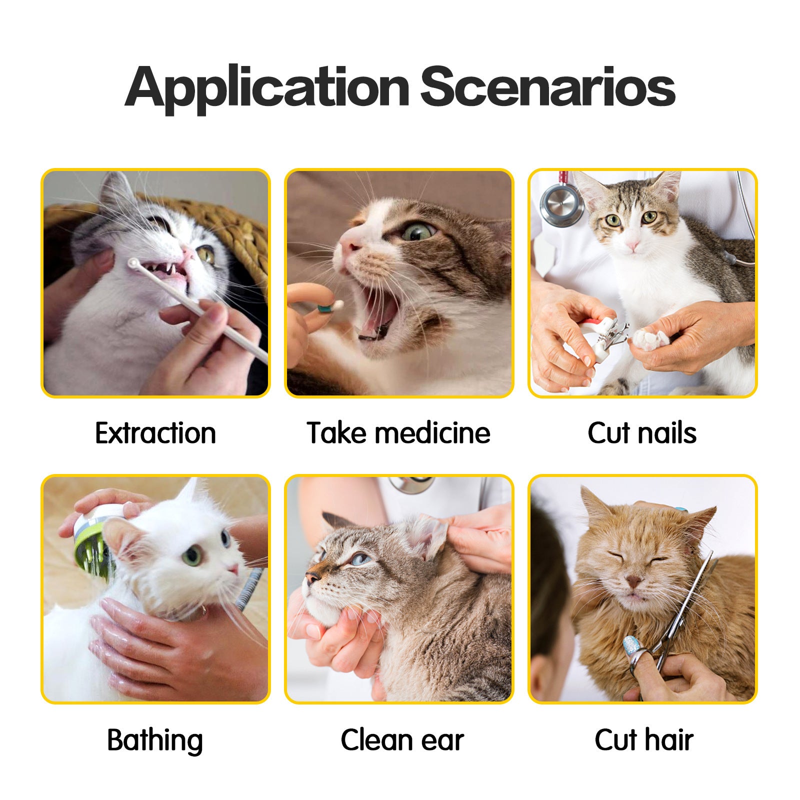Anti-Scratch Cat Travel Bag