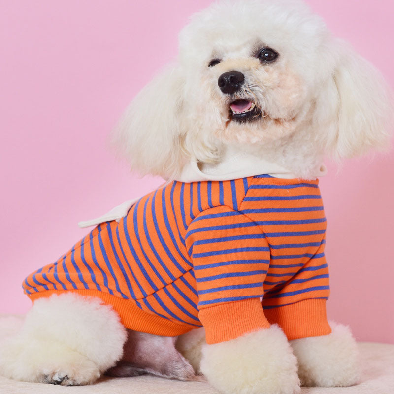 Sweater Small Dog Two-legged Clothes Striped Hooded Sports And Leisure Dog Clothes