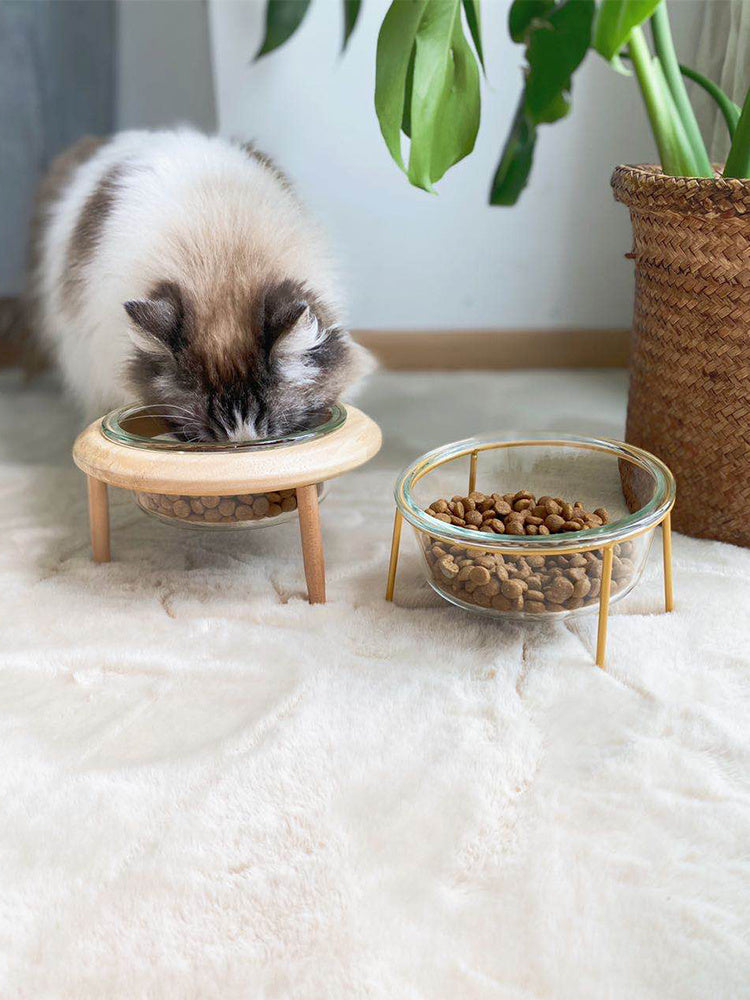 Pet Feeding Bowl
