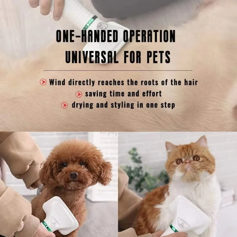 2-in-1 Pet Hair Dryer with Slicker Brush