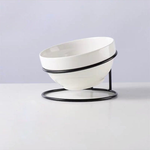 Pet Feeding Bowl