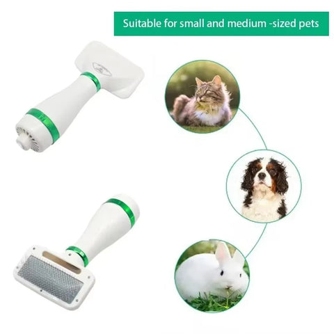 2-in-1 Pet Hair Dryer with Slicker Brush