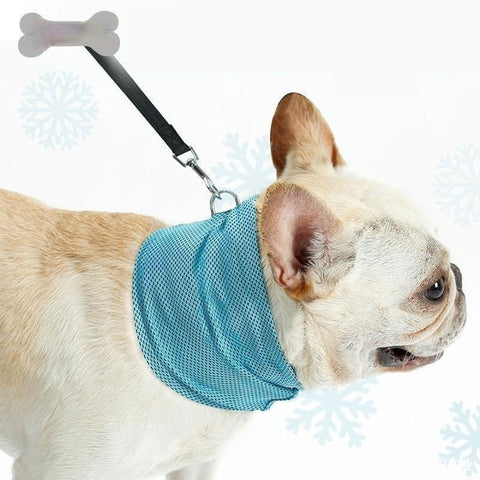 Instant Cooling Pet Bandana