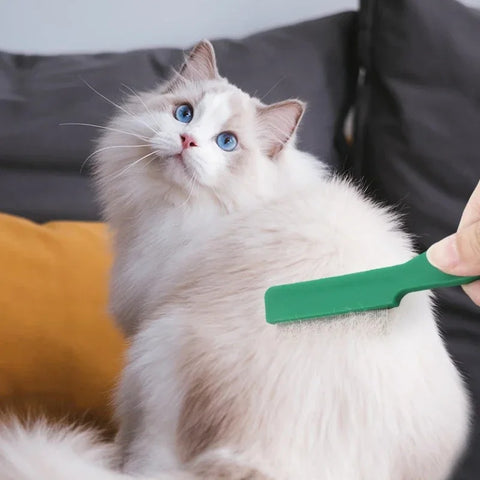 Flea Comb for Dogs & Cats