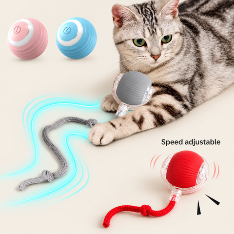Automatic Smart Rolling Cat Ball