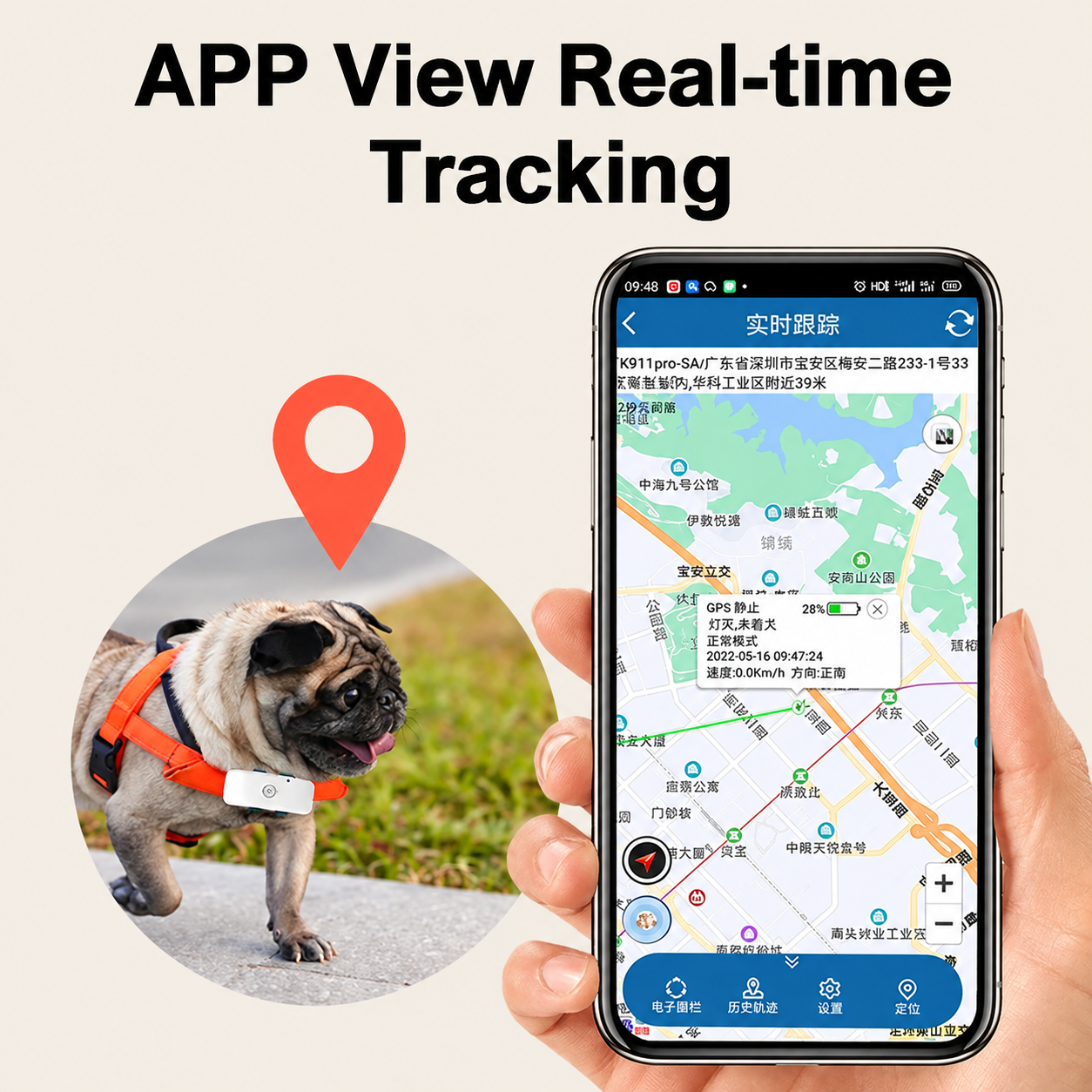 4G GPS-Tracker für Haustiere