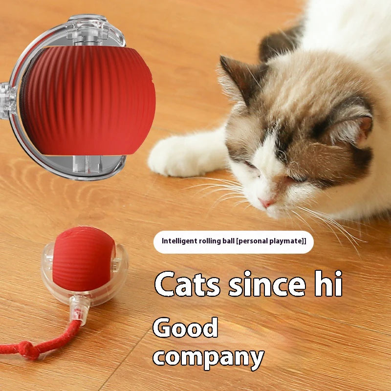 Smart Rolling Cat Ball